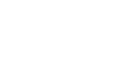 The Newman Family Chiropractic website header logo