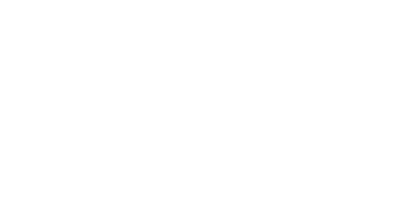 The Newman Family Chiropractic website homepage logo